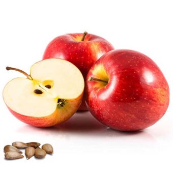 Alpine Apple Seed Oil