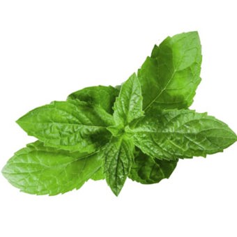 Spearmint Essential Oil Certified Organic