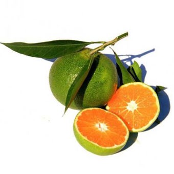 Mandarin Green Essential Oil