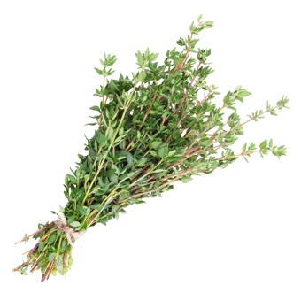 Thyme Red Oil