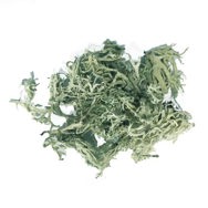 Oakmoss Absolute Pure (Low Atranol)