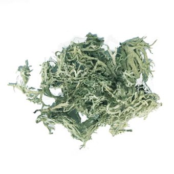 Oakmoss Absolute Pure (Low Atranol)