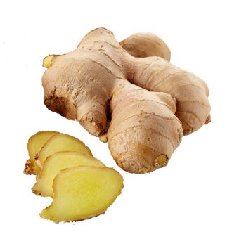 Ginger Root Essential Oil