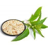 Sesame Seed Oil Certified Organic 