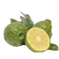 Bergamot Essential Oil Expressed