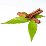 Cinnamon Leaf Essential Oil Certified Organic