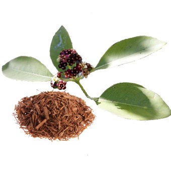 Sandalwood Essential Oil India