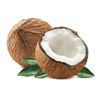 Coconut Oil Fractionated